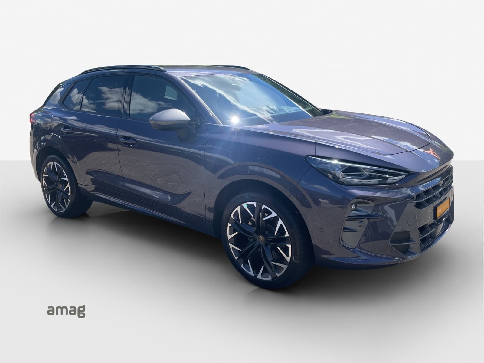 Cupra Terramar Leasing & Auto-Abo Angebot