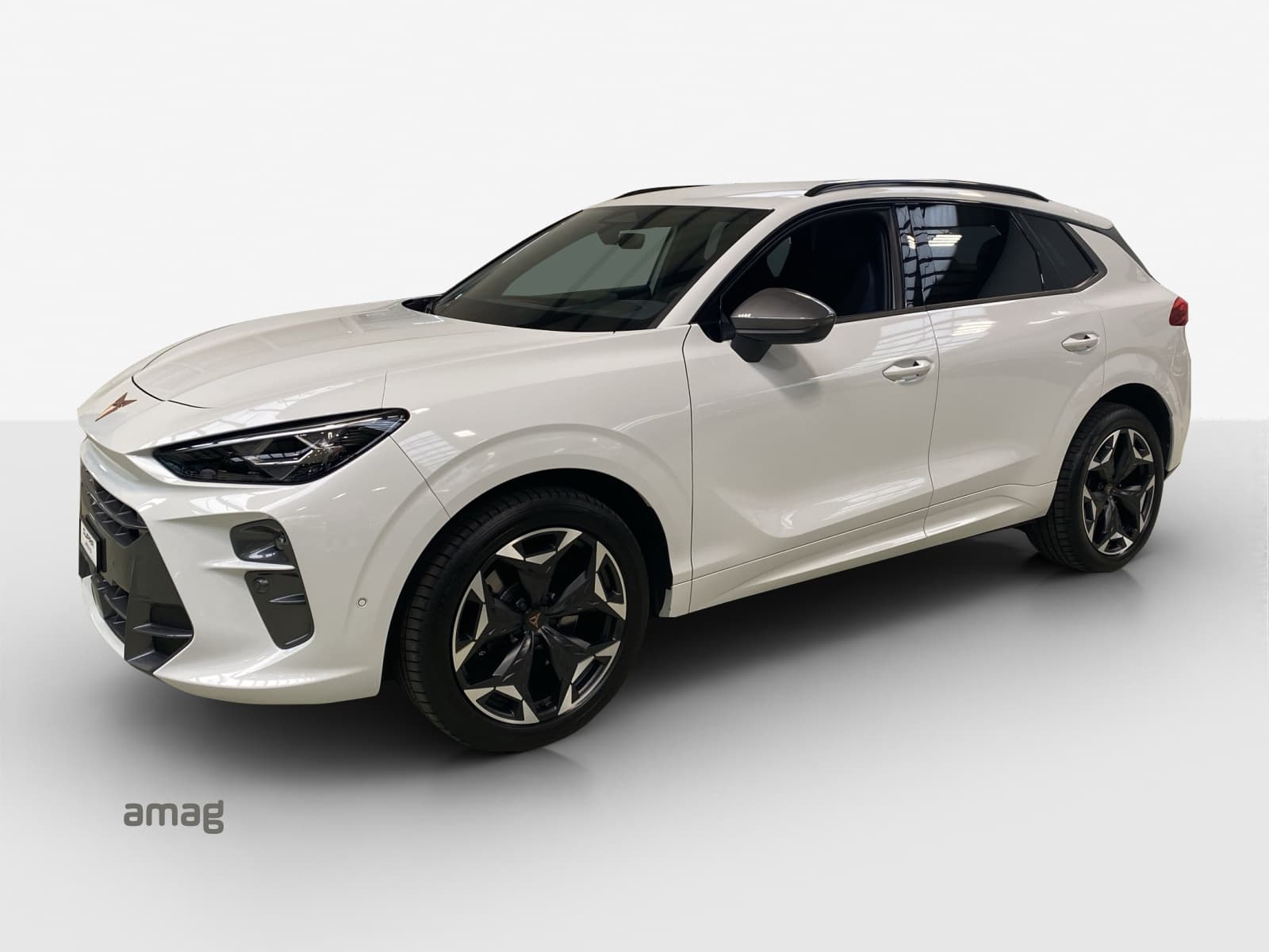 Cupra Terramar Leasing & Car Subscription Offer
