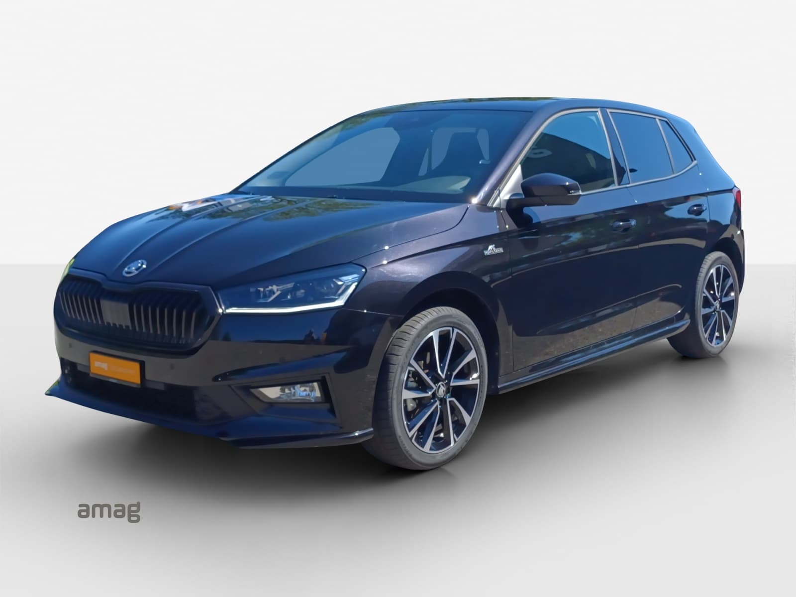 Škoda Fabia Leasing & Auto-Abo Angebot