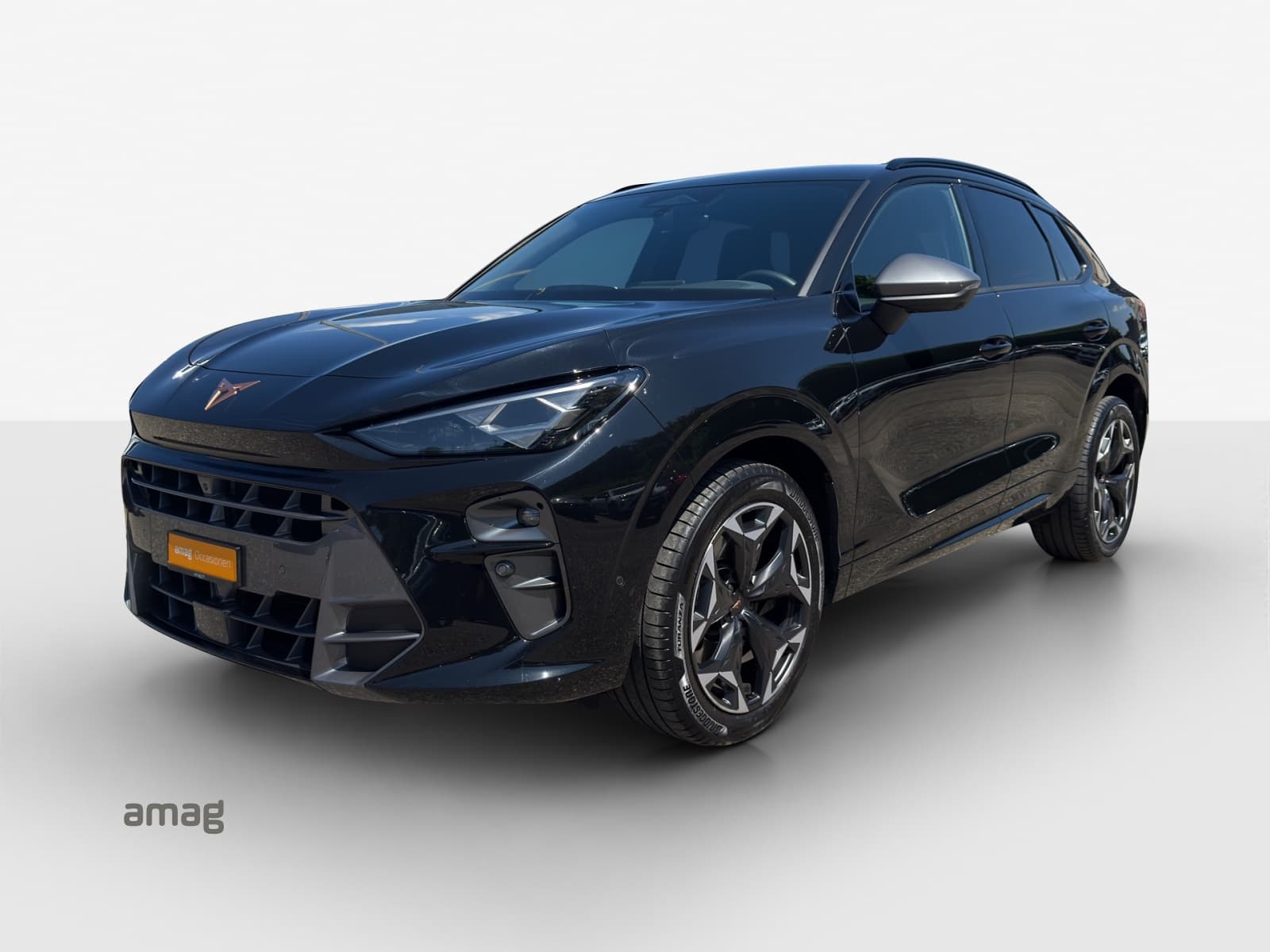 Cupra Terramar Leasing & Auto-Abo Angebot