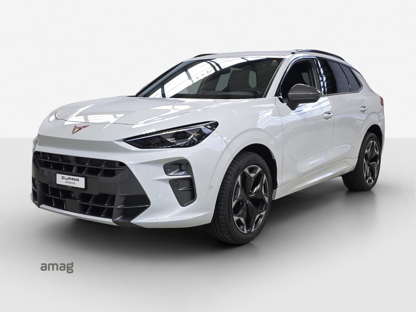 Cupra Terramar Leasing & Auto-Abo Angebot