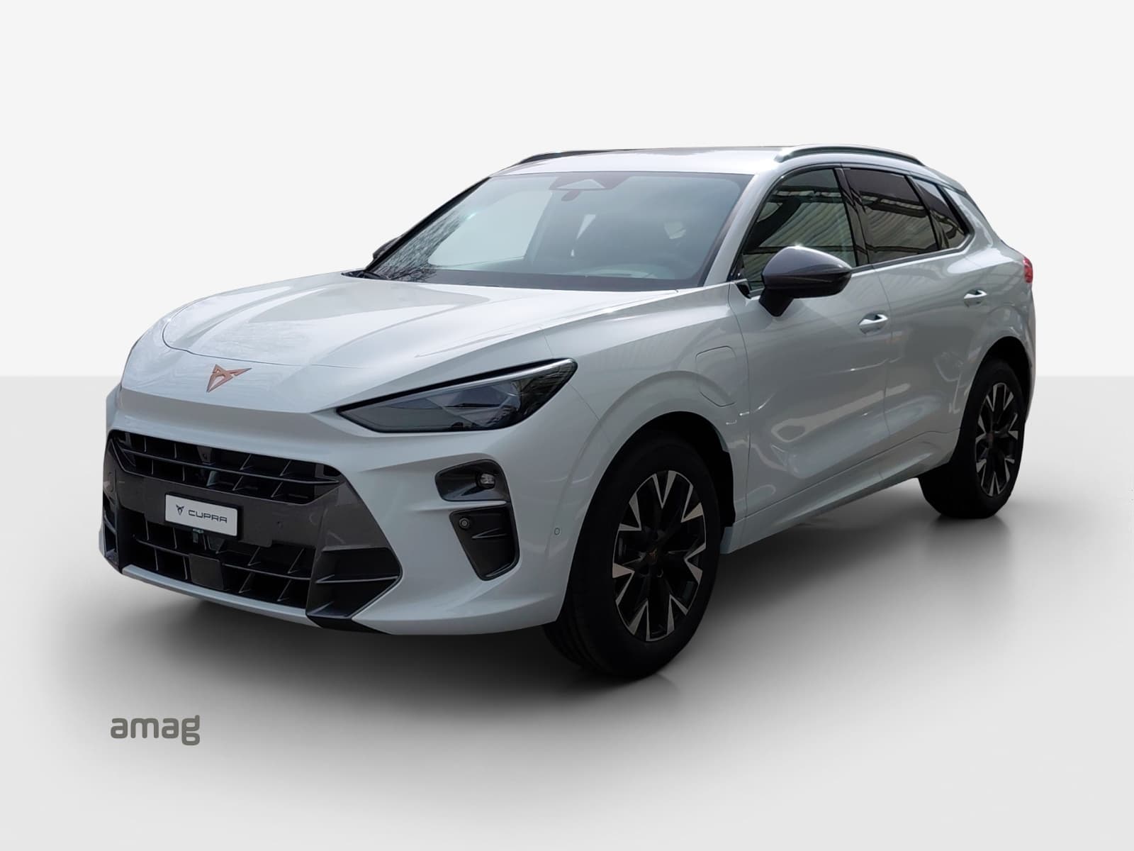 Cupra Terramar Leasing & Auto-Abo Angebot