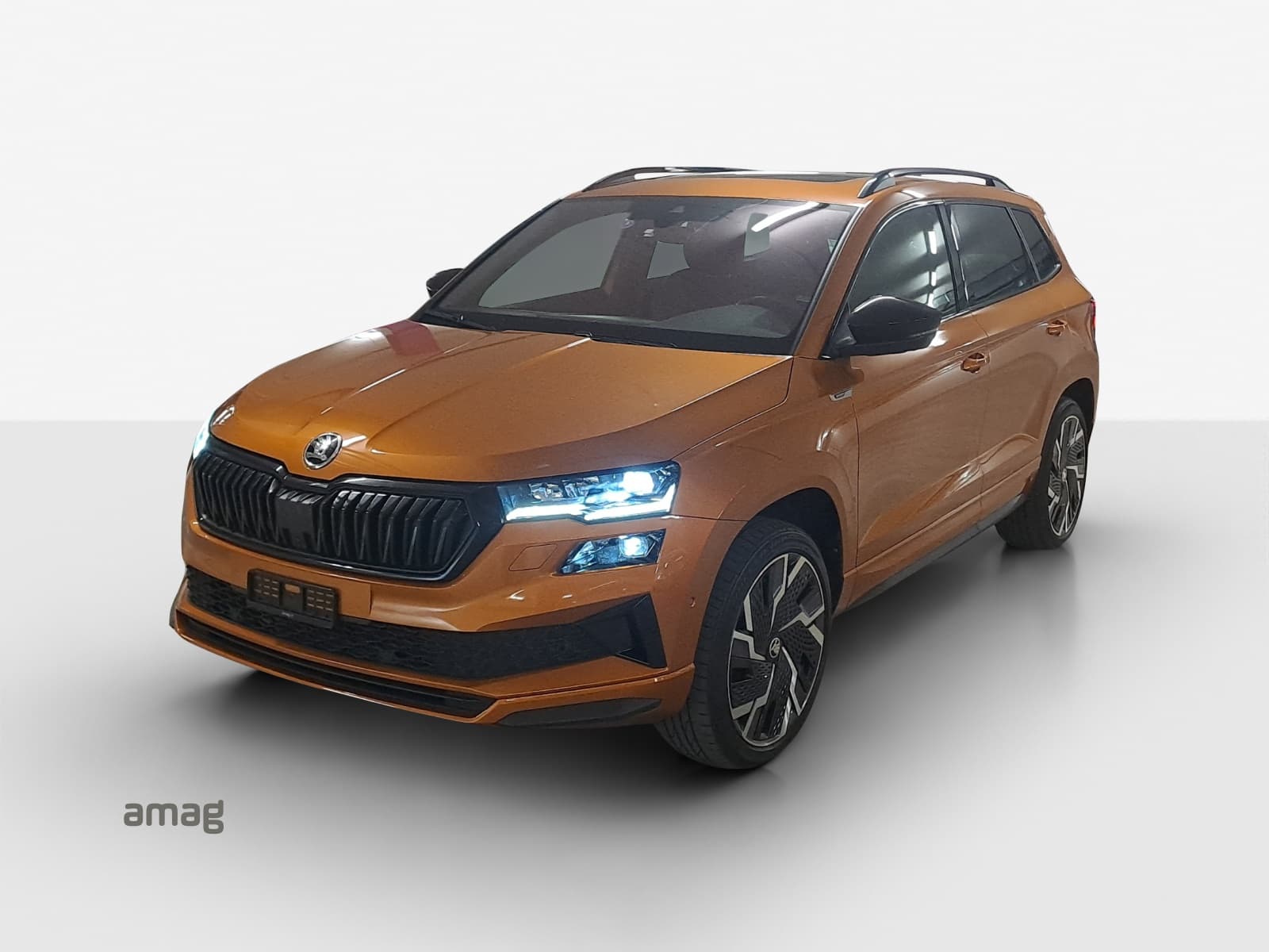 Offre de leasing et d'auto-abo Škoda Karoq