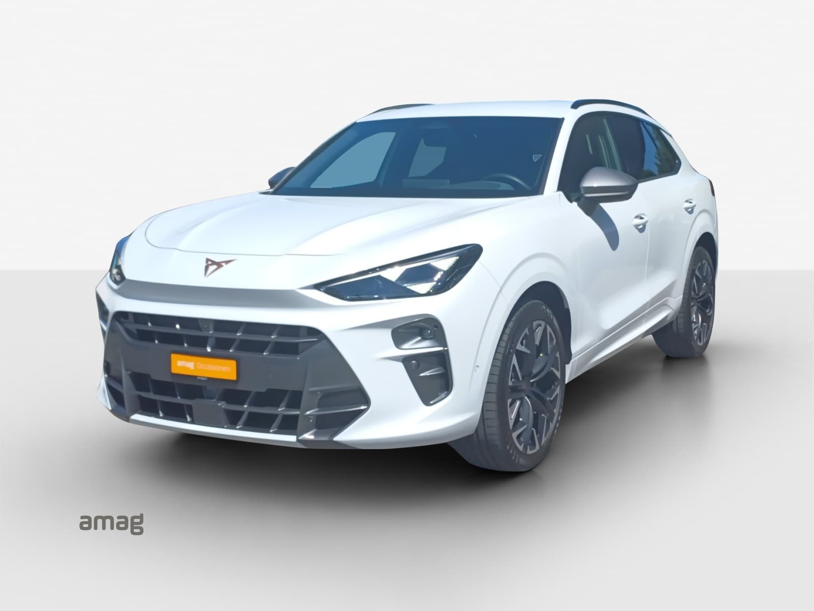 Cupra Terramar Leasing & Auto-Abo Angebot