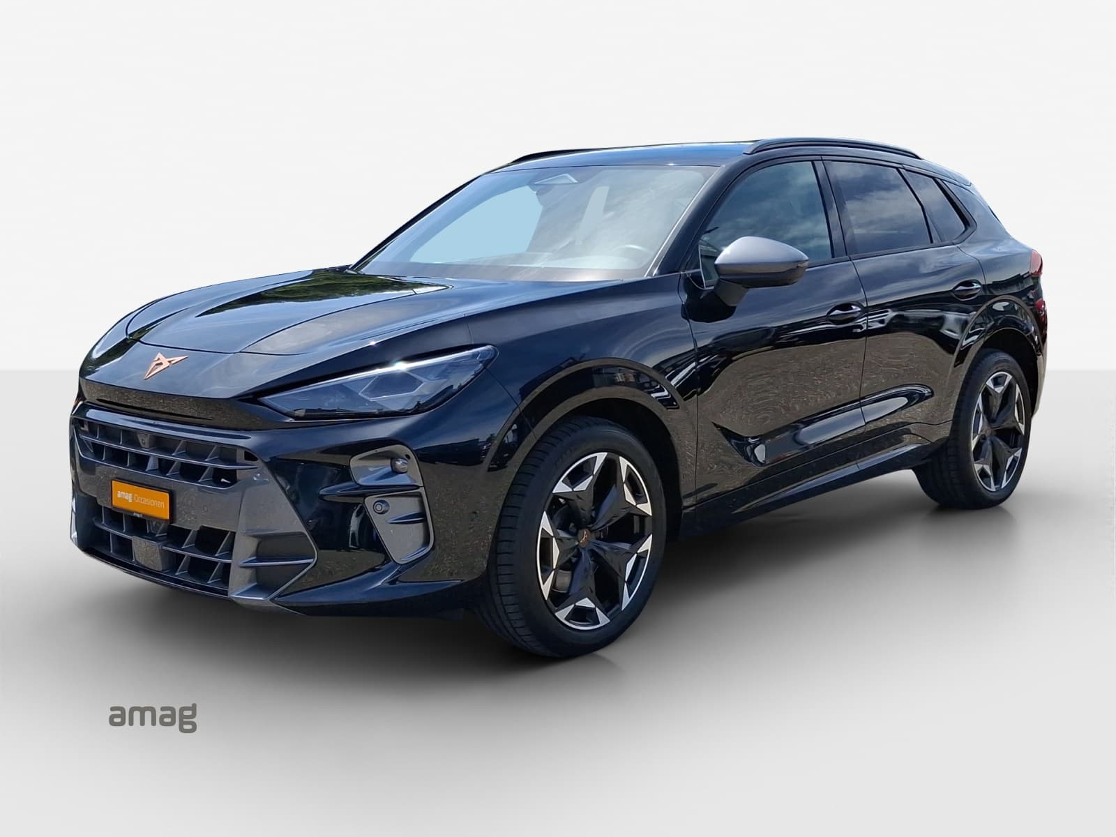 Cupra Terramar Leasing & Auto-Abo Angebot