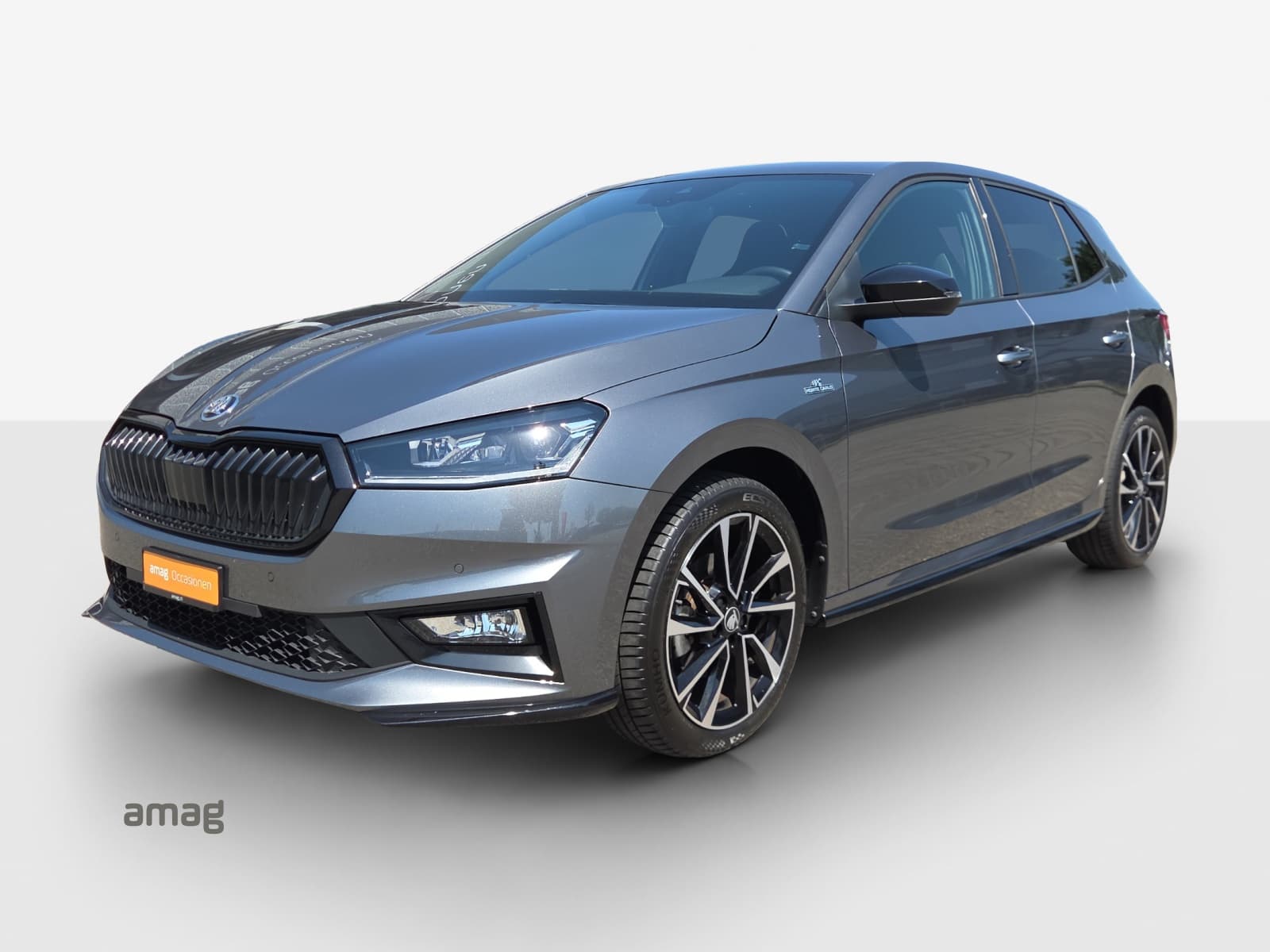 Škoda Fabia Leasing & Car Subscription Offer