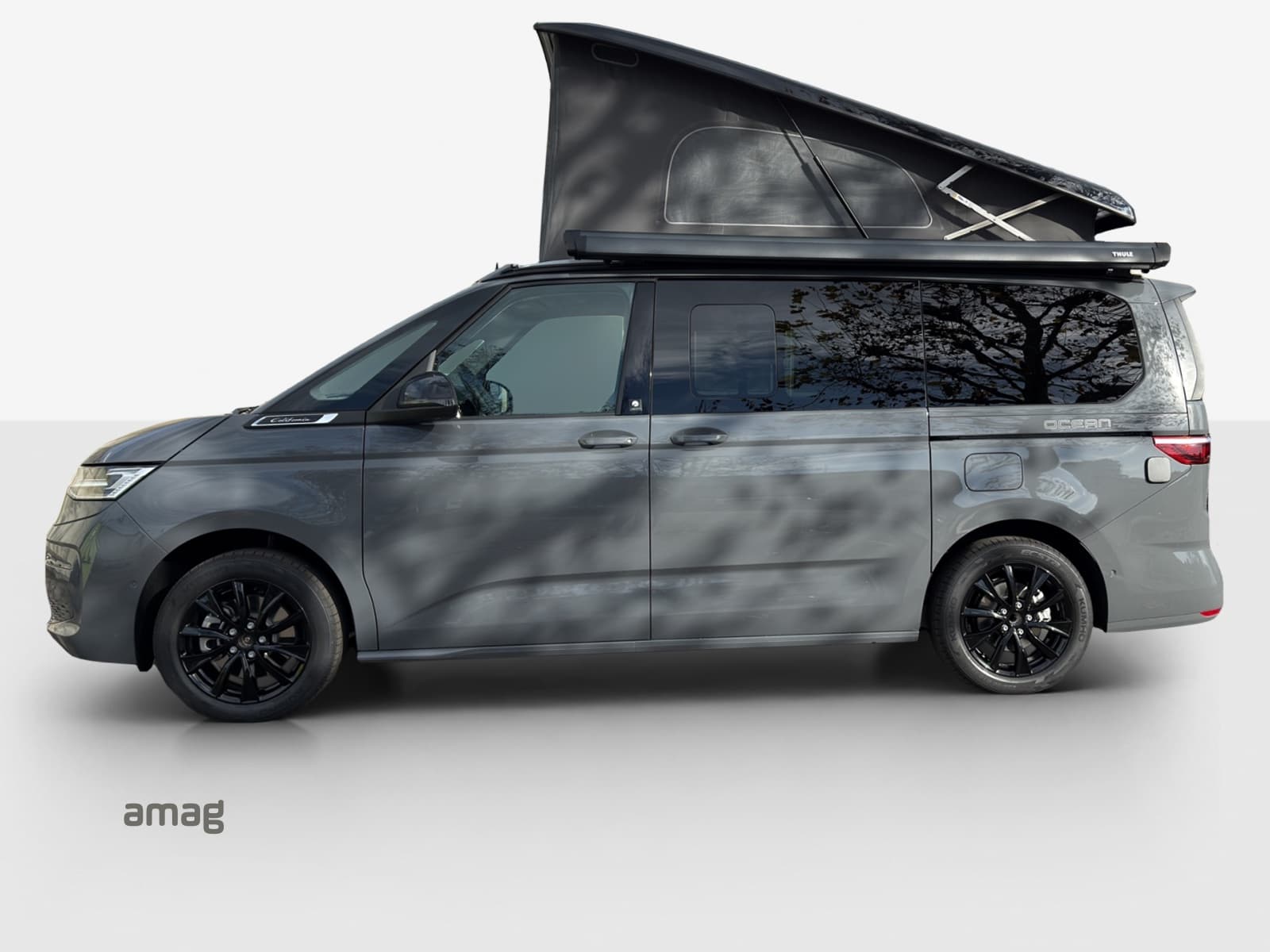 VW California