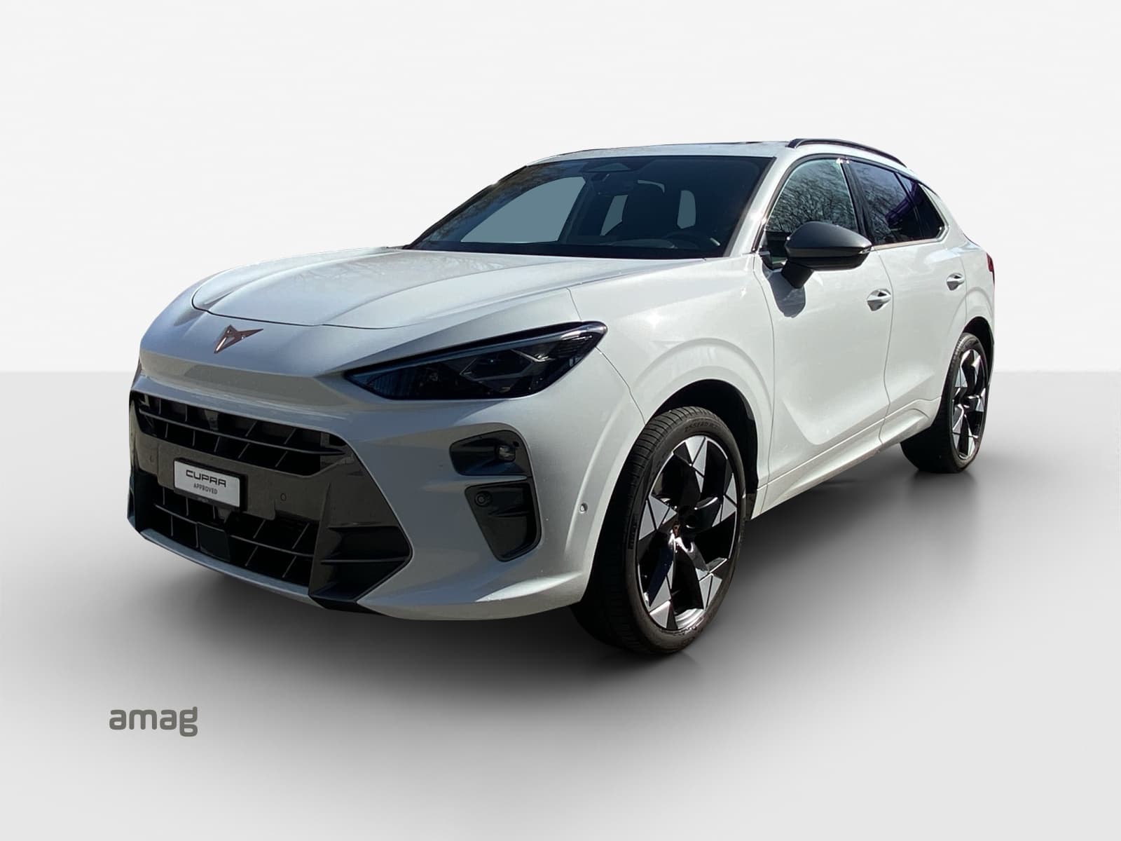 Cupra Terramar Leasing & Auto-Abo Angebot