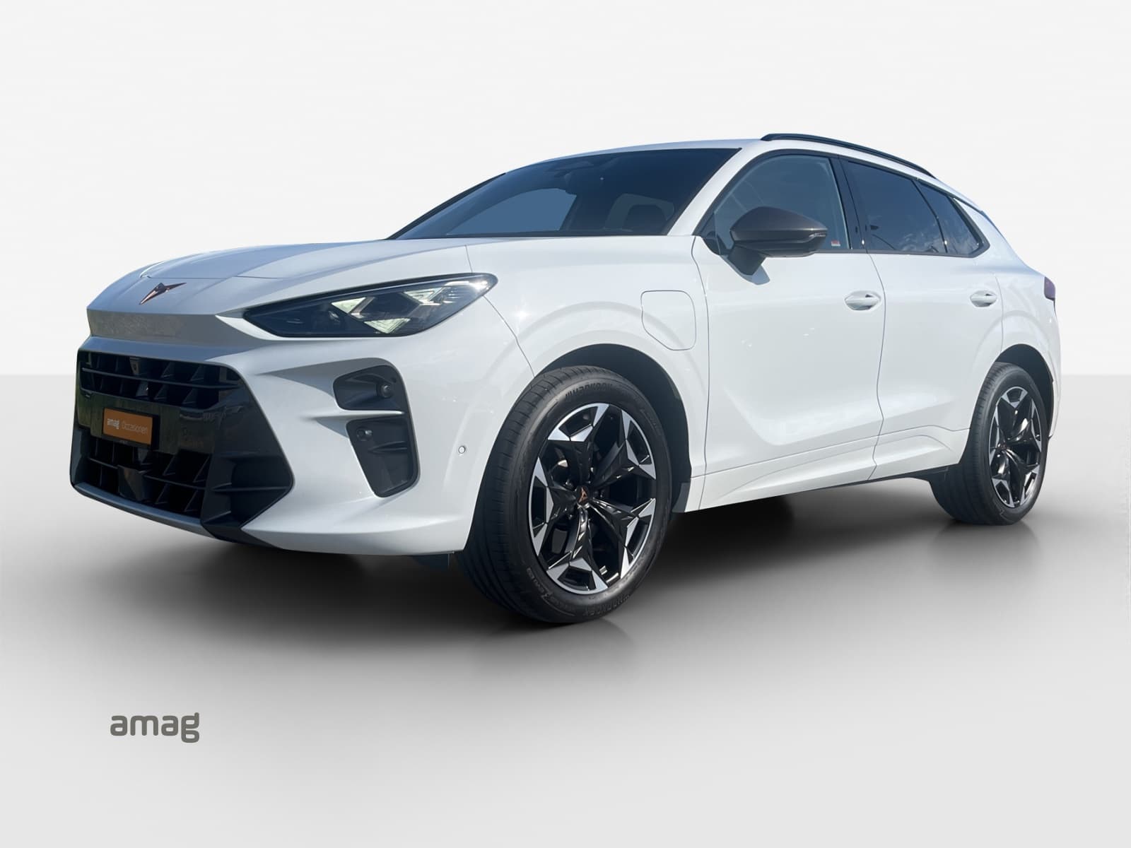 Cupra Terramar Leasing & Auto-Abo Angebot
