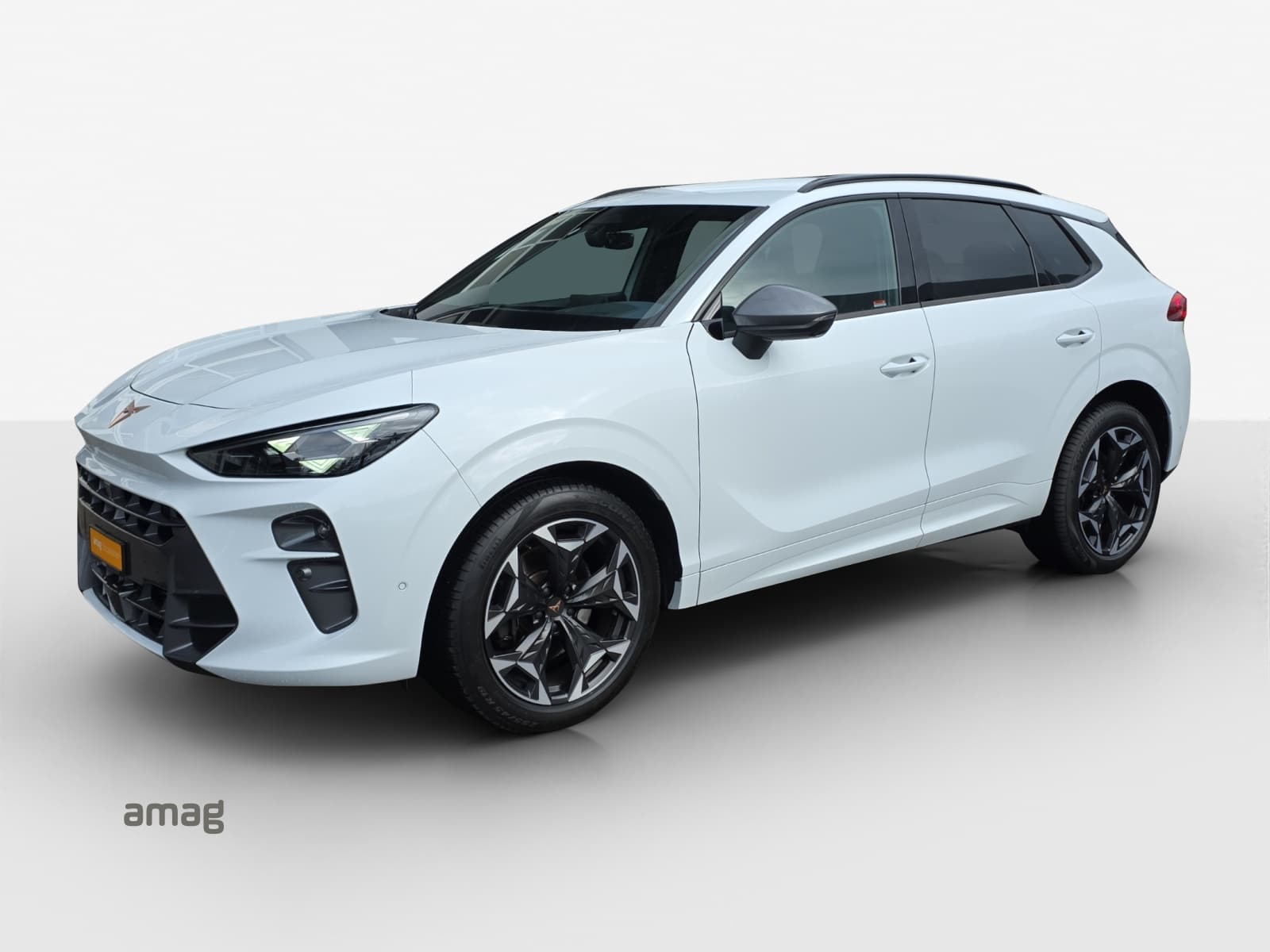 Cupra Terramar Leasing & Auto-Abo Angebot