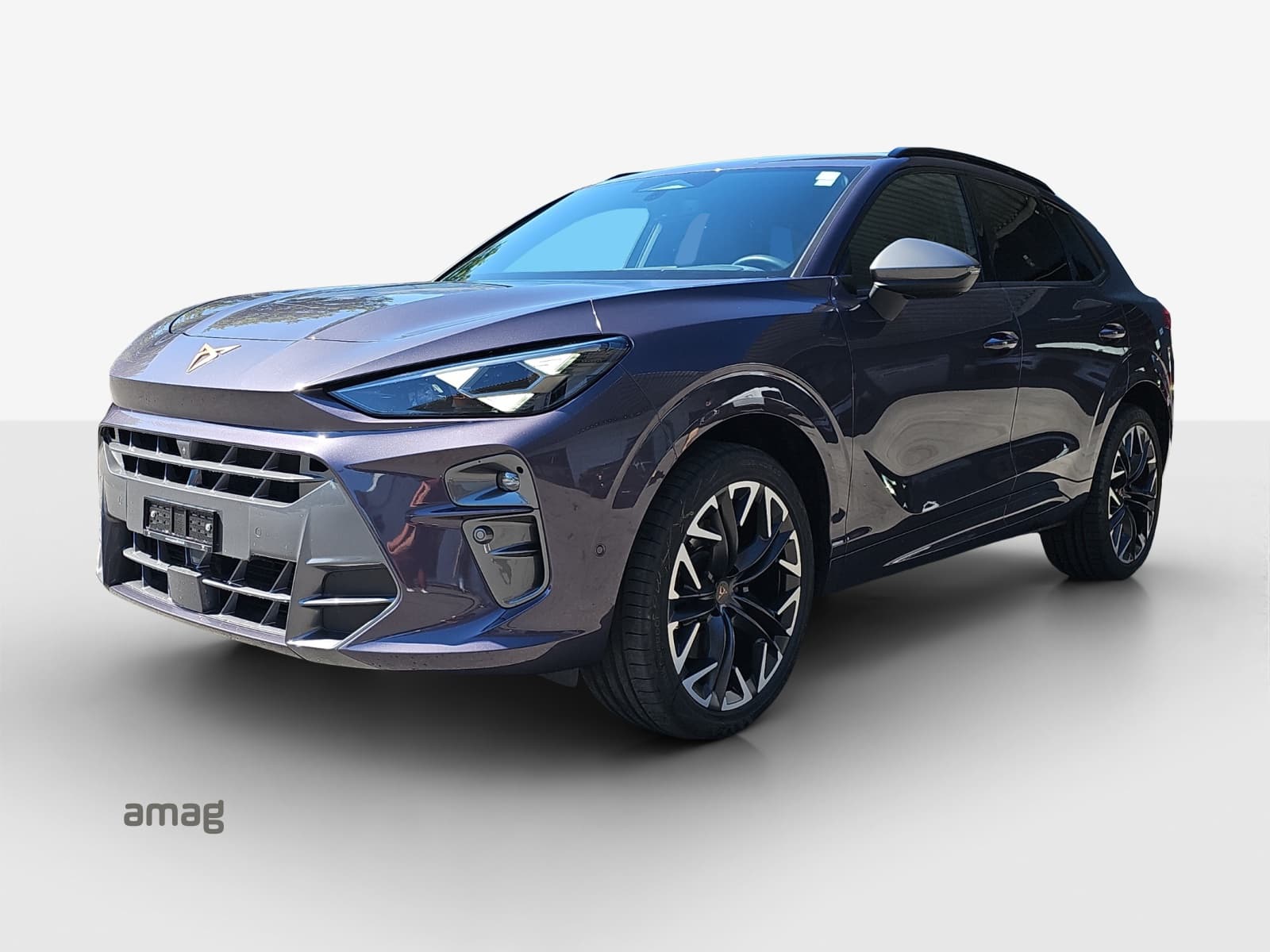 Cupra Terramar Leasing & Auto-Abo Angebot