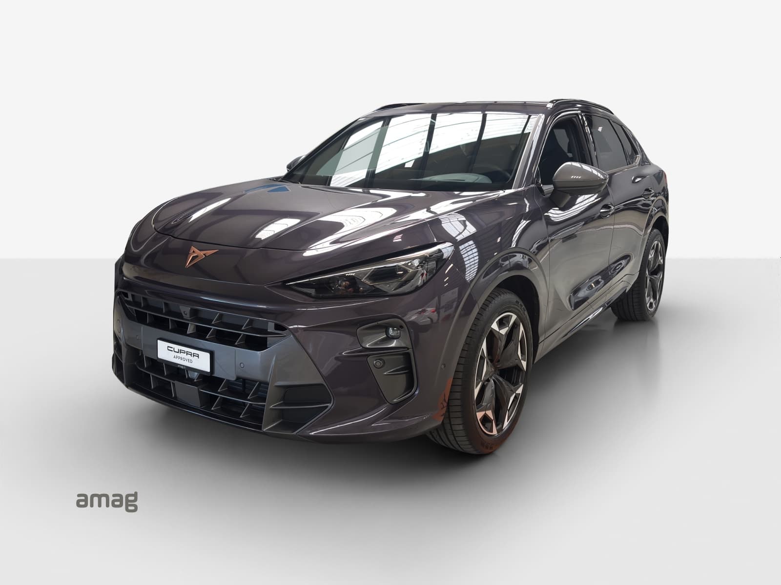 Offerta di leasing e abbonamento auto Cupra Terramar