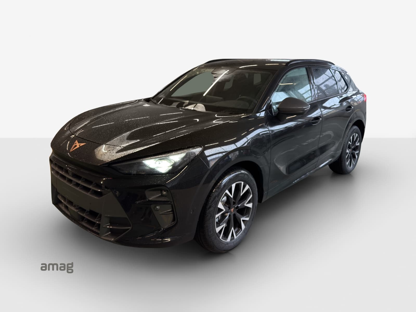 Cupra Terramar Leasing & Auto-Abo Angebot