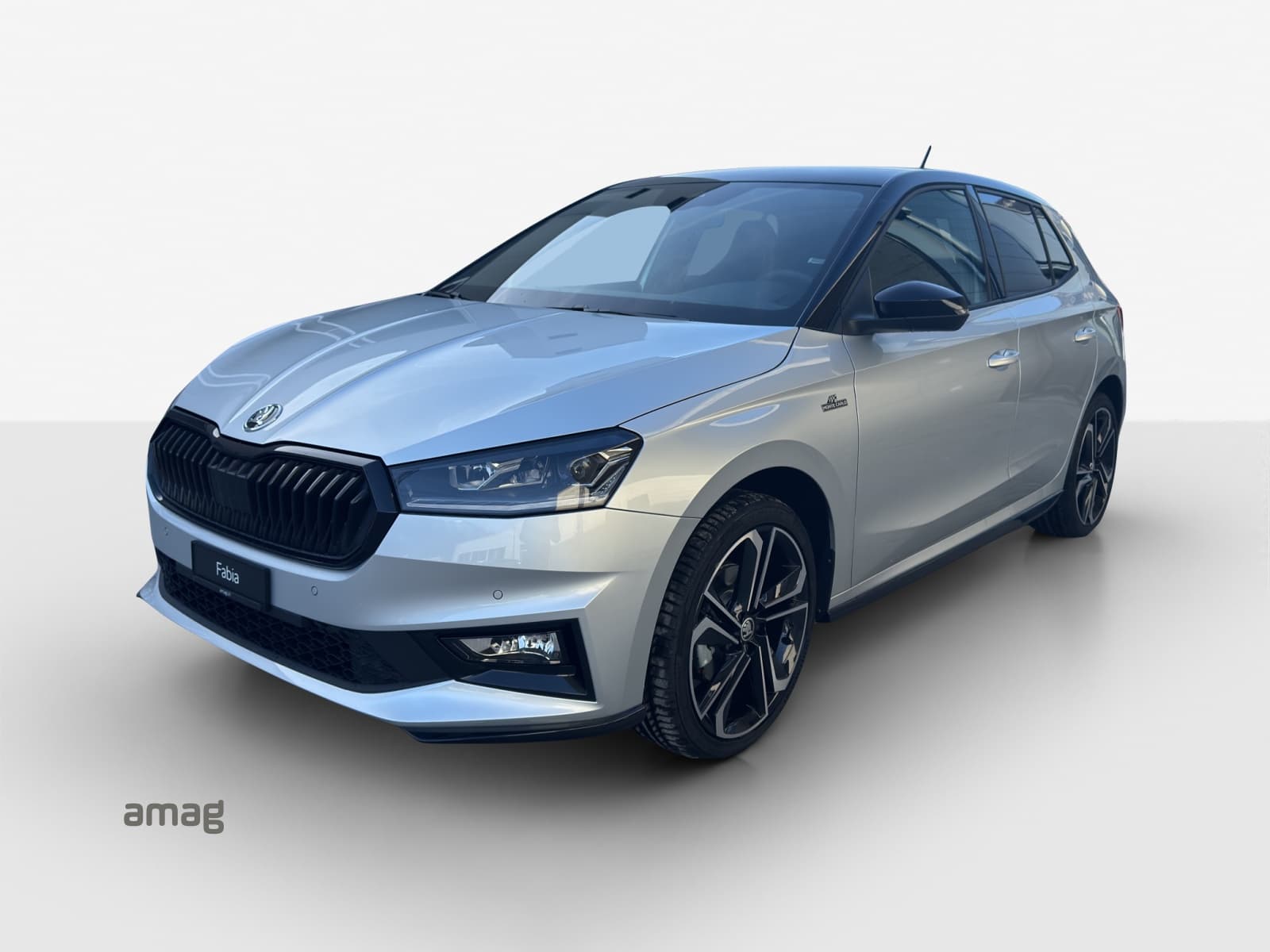 Škoda Fabia Leasing & Car Subscription Offer