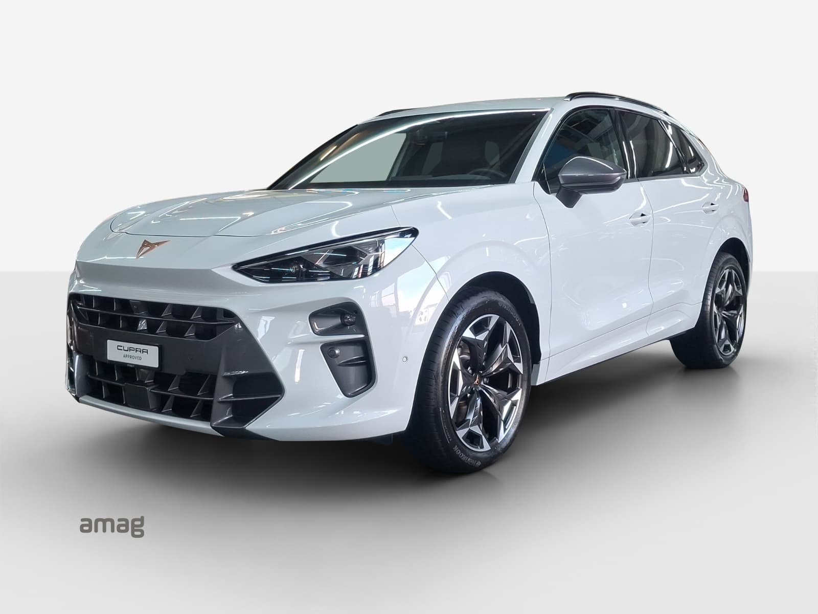 Cupra Terramar Leasing & Auto-Abo Angebot