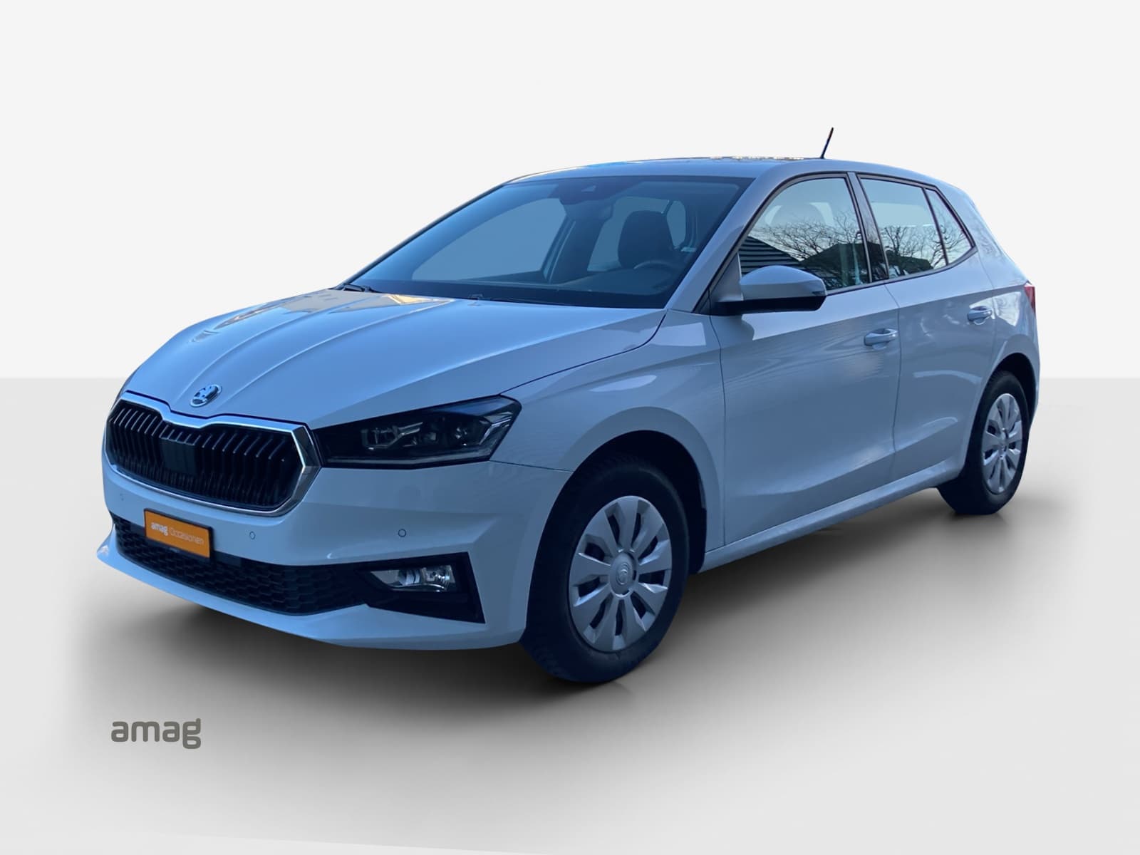 Škoda Fabia Leasing & Car Subscription Offer