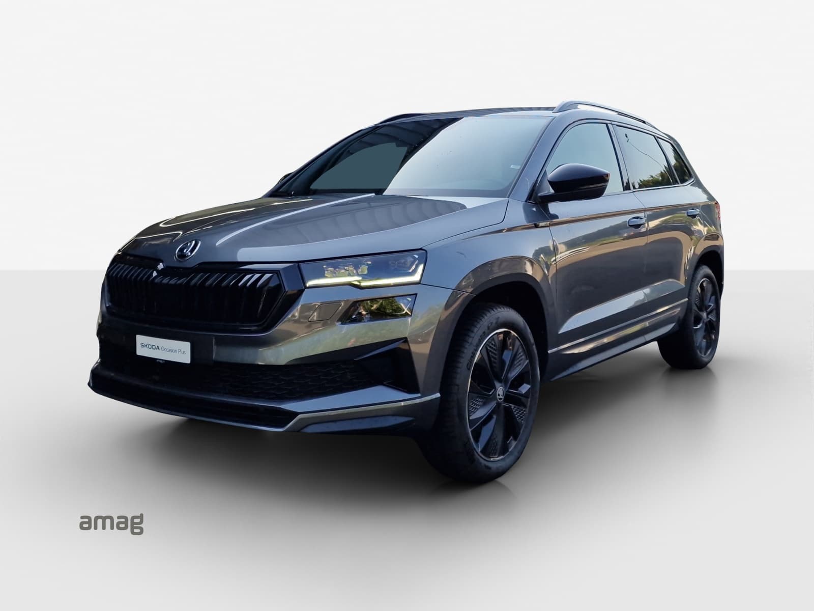 Offre de leasing et d'auto-abo Škoda Karoq