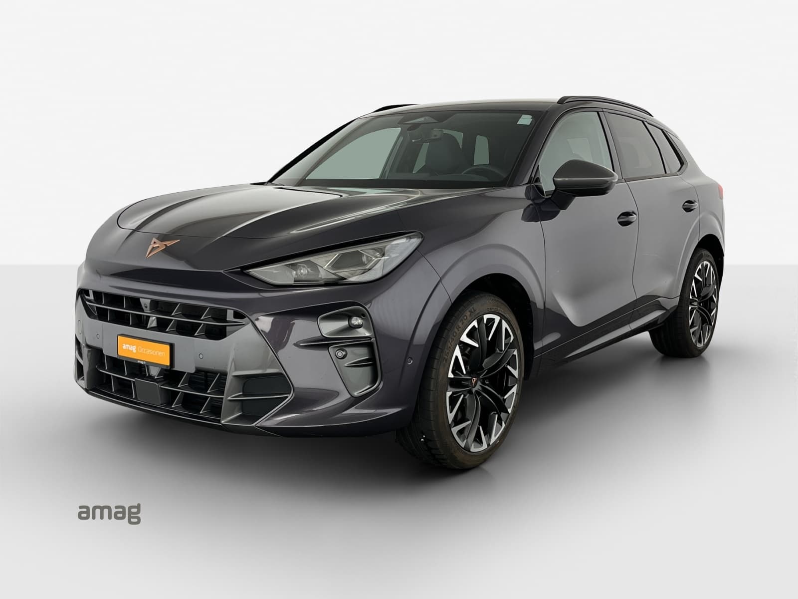 Offerta di leasing e abbonamento auto Cupra Terramar