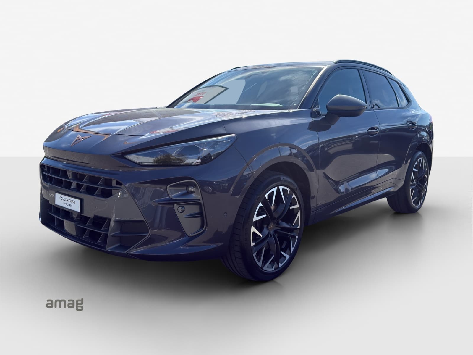 Cupra Terramar Leasing & Auto-Abo Angebot