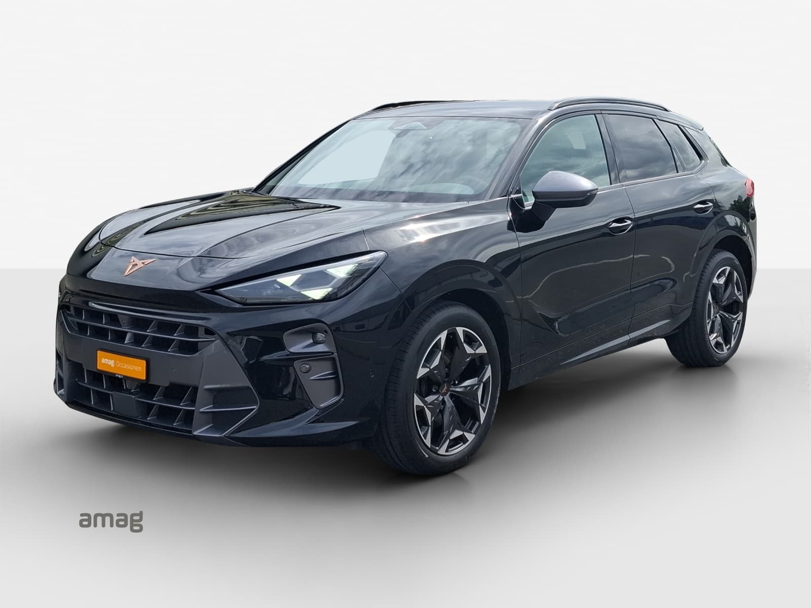 Cupra Terramar Leasing & Auto-Abo Angebot