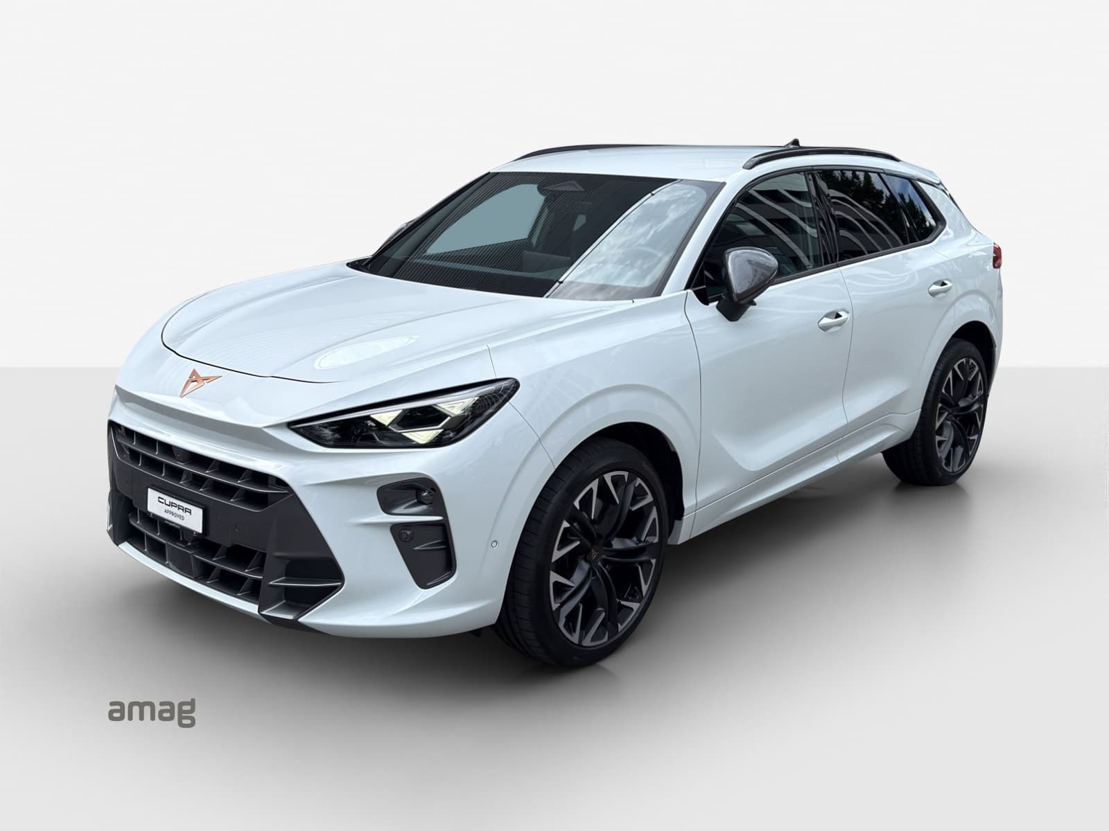 Offerta di leasing e abbonamento auto Cupra Terramar