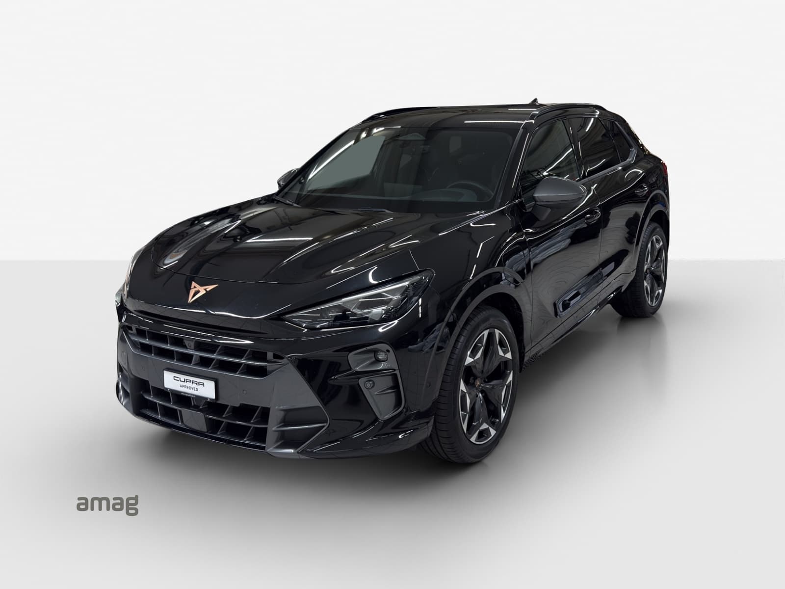Cupra Terramar Leasing & Auto-Abo Angebot