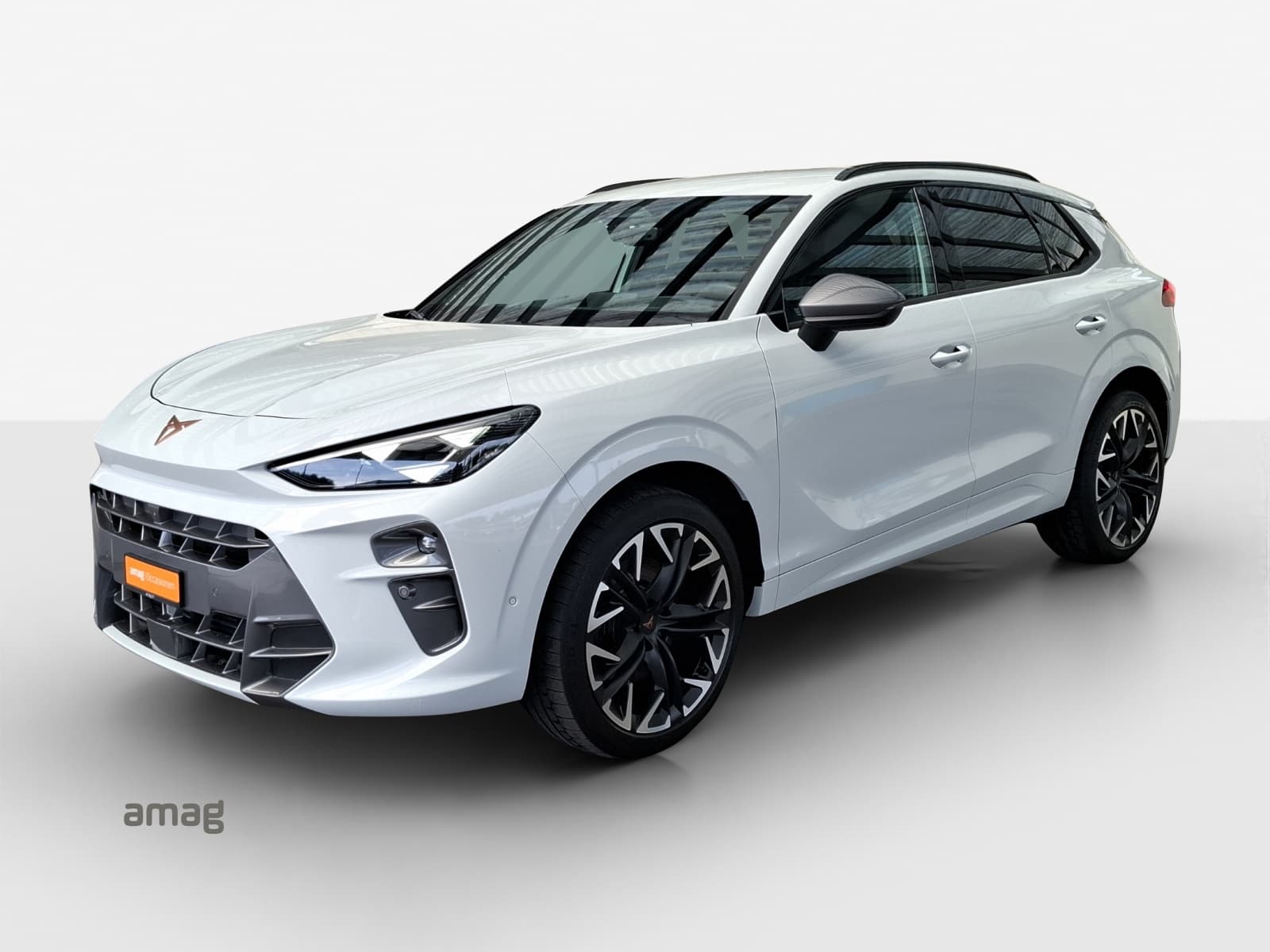 Cupra Terramar Leasing & Auto-Abo Angebot