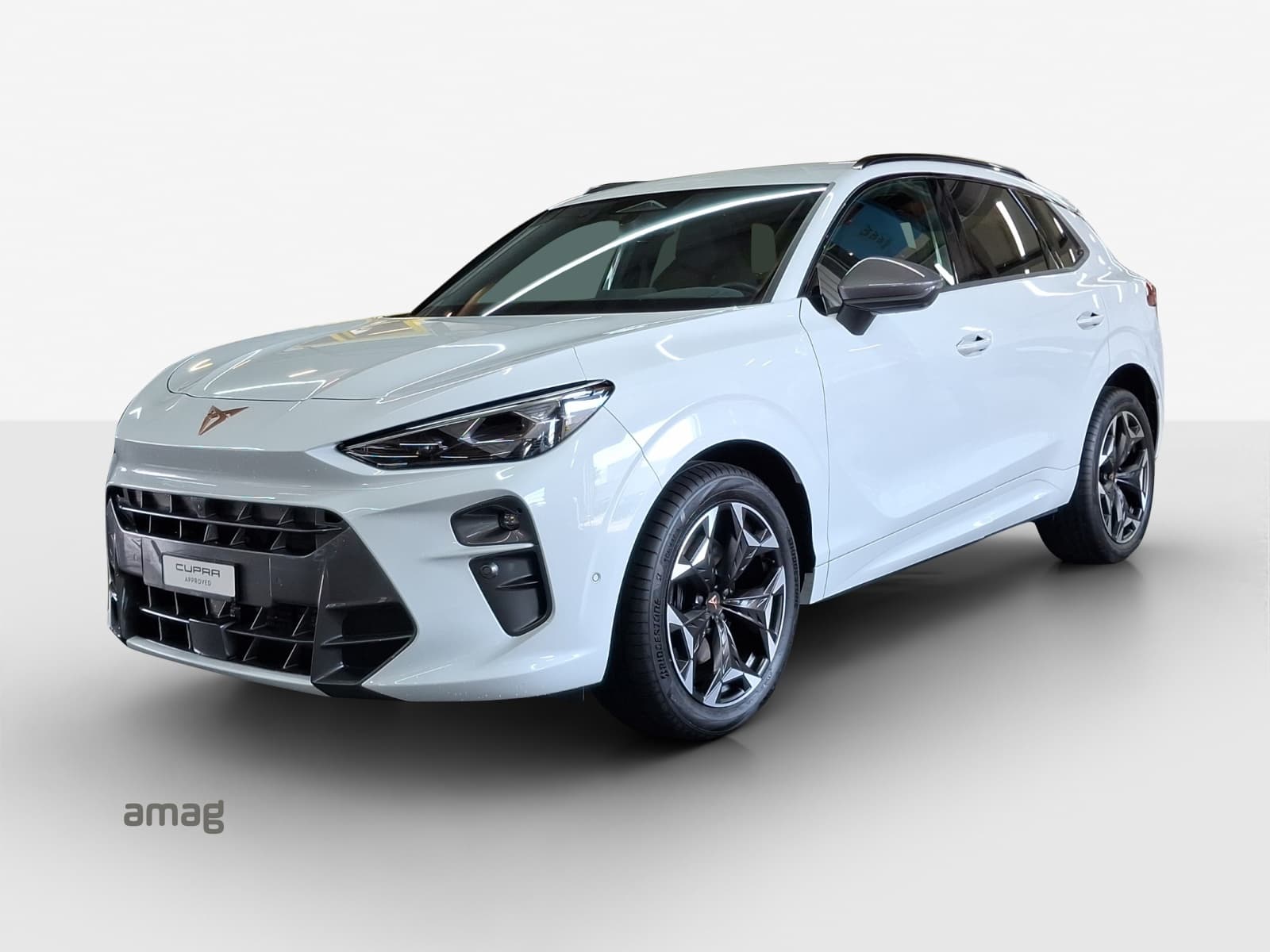 Cupra Terramar Leasing & Auto-Abo Angebot